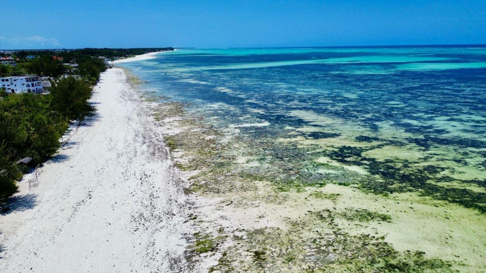 Mbuyuni Beach Village Jambiani  Eksteriør billede